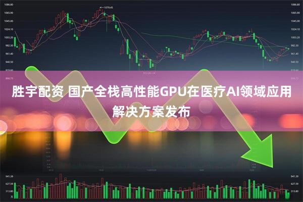 胜宇配资 国产全栈高性能GPU在医疗AI领域应用解决方案发布