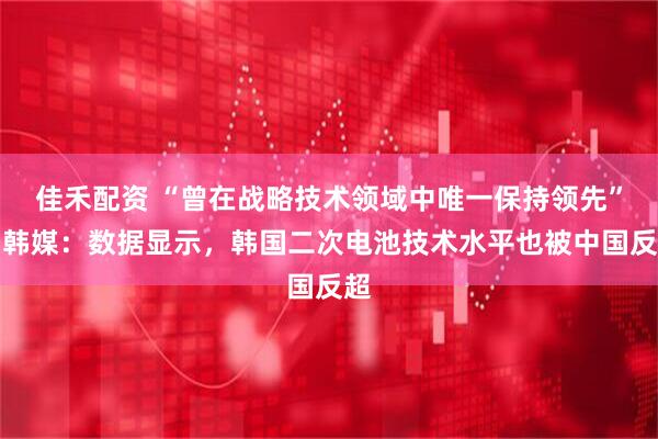 佳禾配资 “曾在战略技术领域中唯一保持领先”，韩媒：数据显示，韩国二次电池技术水平也被中国反超